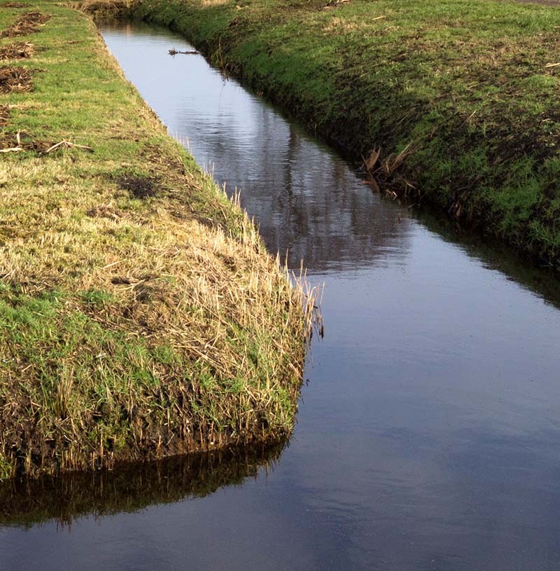 Groenonderhoud volgens Ladder van Lansink