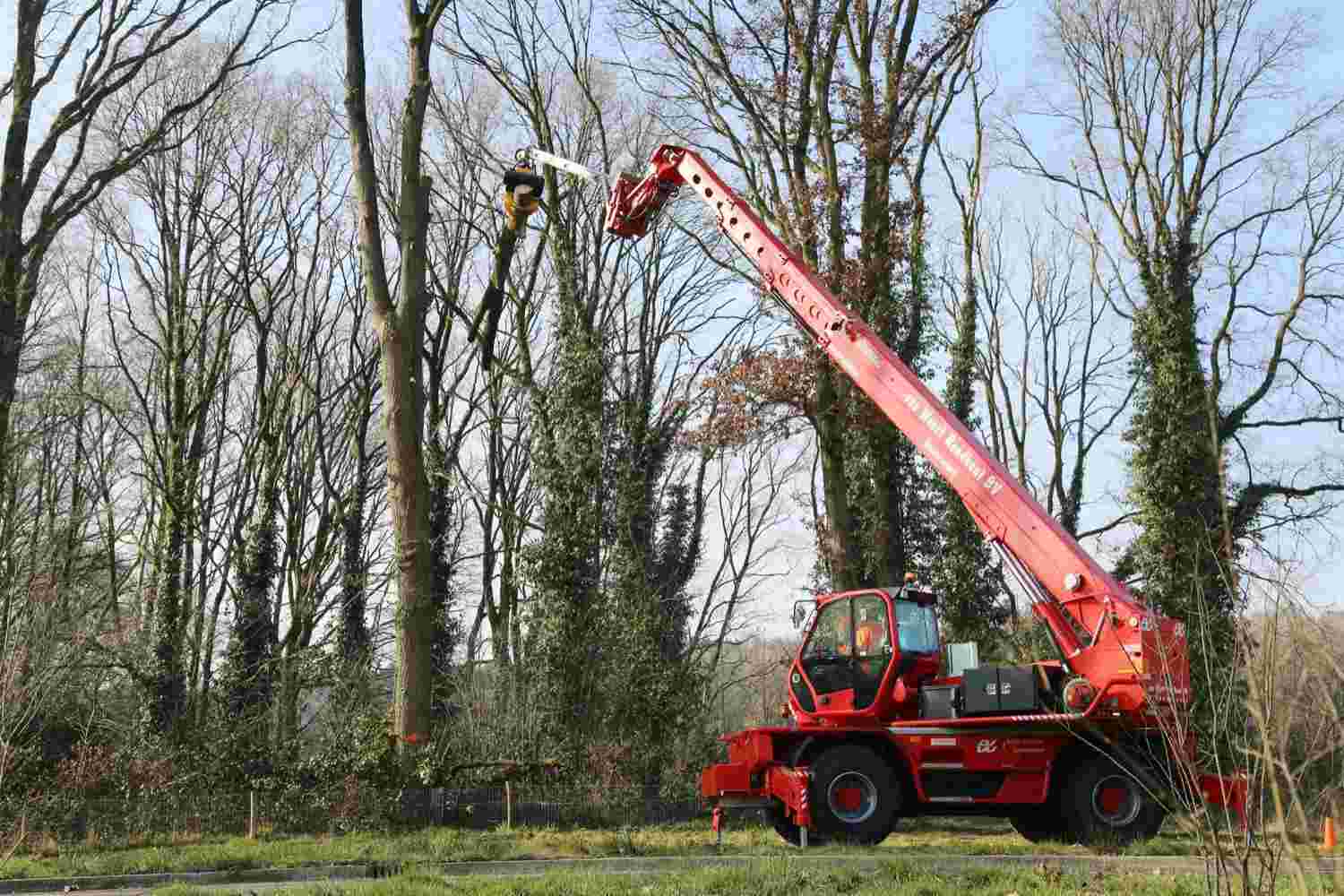 Bomen kappen Eindhoven - Van Weert