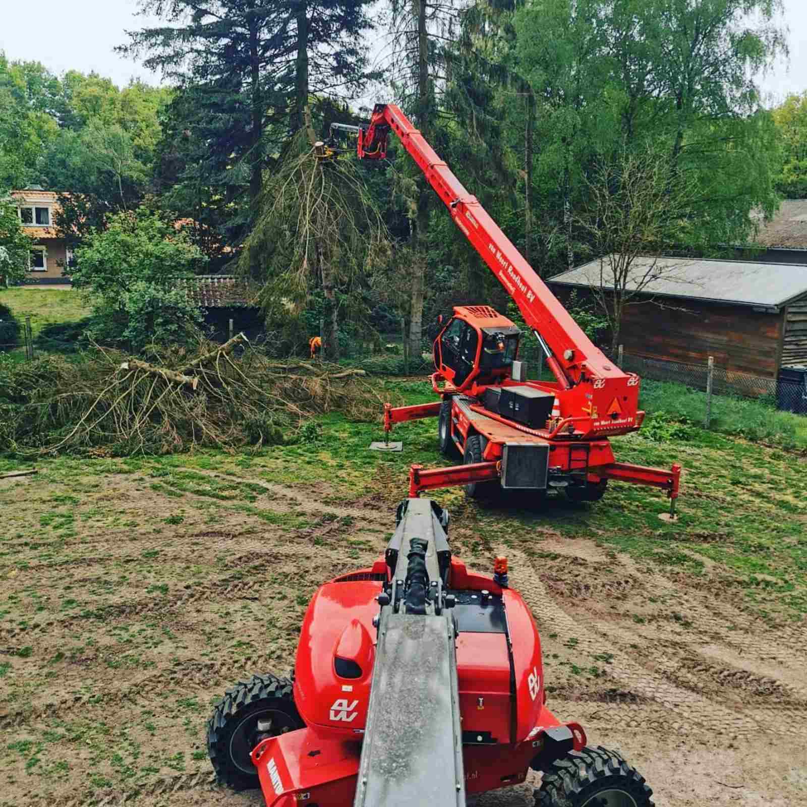 Bomen kappen Oosterhout Bomen kappen Oosterhout - Van Weert
