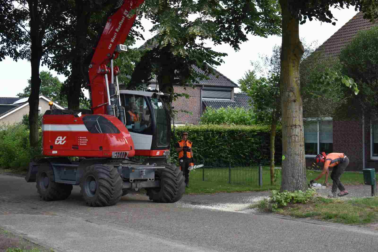 Bomen rooien Bergen op Zoom Bomen rooien Bergen op Zoom - Van Weert