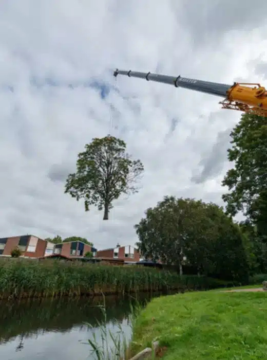 bomen verwijderen in Tilburg door van Weert