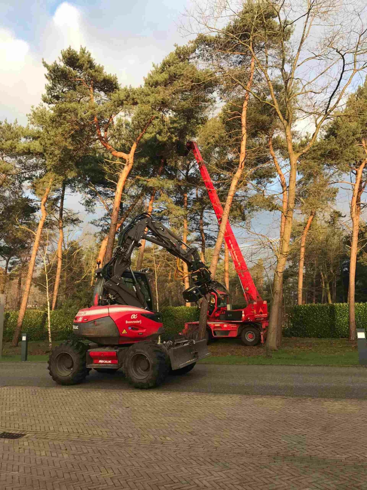 Bomen verwijderen Uden Bomen verwijderen Uden - Van Weert