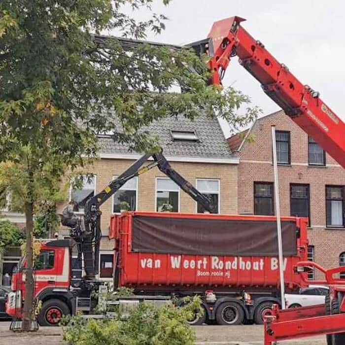 van weert rondhout boom onderhoud bernheze Van Weert - Onderhoud bomen Bernheze