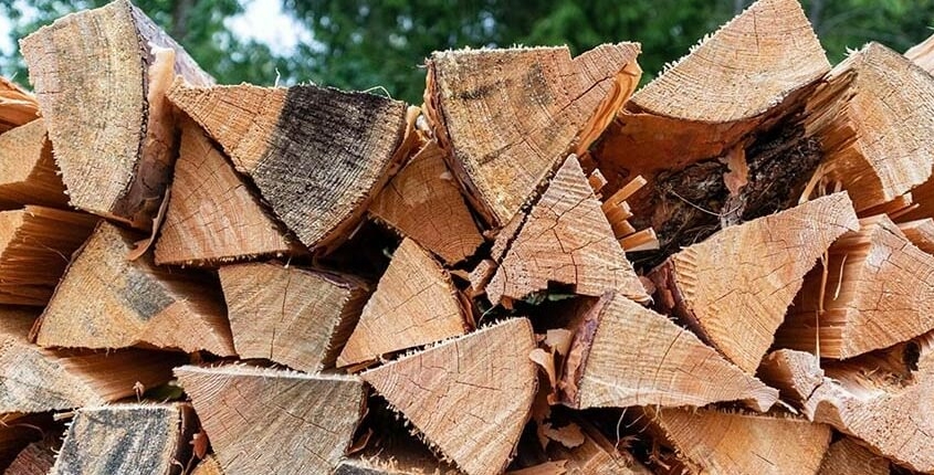 snoeien van grote eik eik laten snoeien met hoogwerker