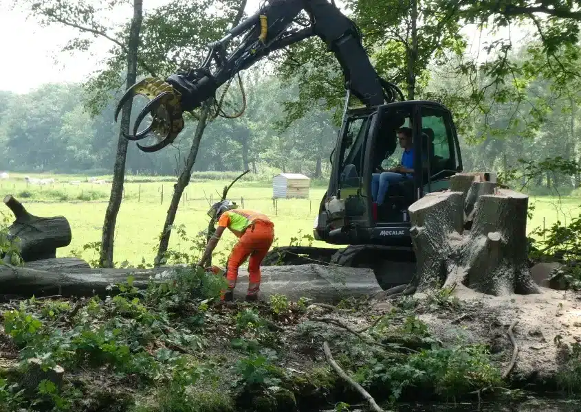 Bomen laten keuren in Oss