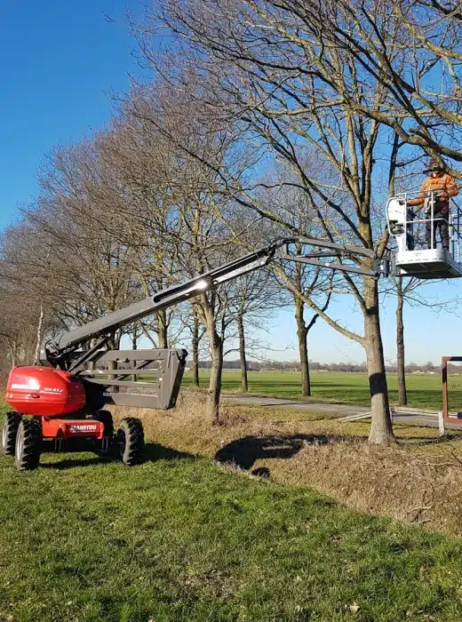 Boomonderhoud Meierijstad