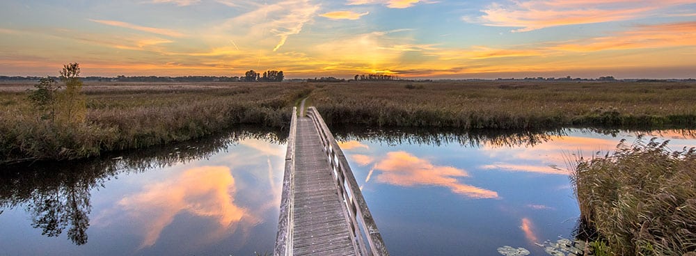 klimaatadaptief waterbeheer door Van Weert
