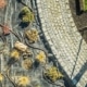 Zelf je tuin aanleggen? Wij geven tips voor tuinrenovaties.