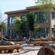 Schoolplein vergroenen met bomen, struiken en natuurlijke materialen? Van Weert is er voor aanleg en onderhoud van groene schoolpleinen.