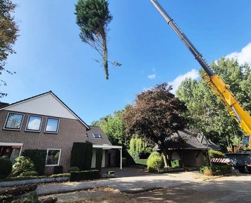 Mobiele kraan hijst gevallen boom weg na stormschade in woonwijk Oss