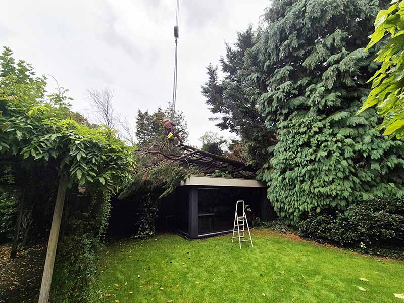 stormschade-oss-verwijderen-boom Boomklimmer verwijdert gespleten boom van tuinhuis met hijswerk na stormschade in Oss