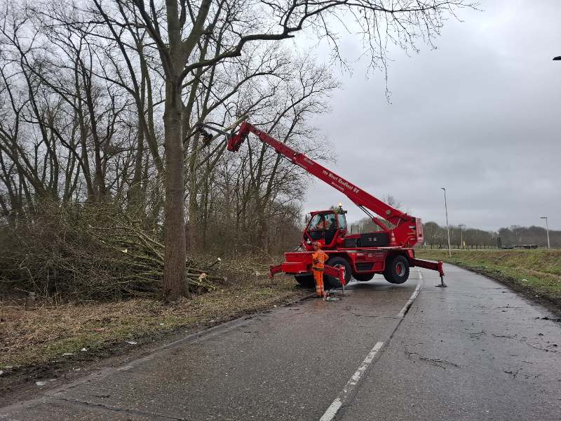 snoeiwerkzaamheden-infraproject-gebiedsontwikkeling Snoeiwerkzaamheden Van Weert voor infraproject