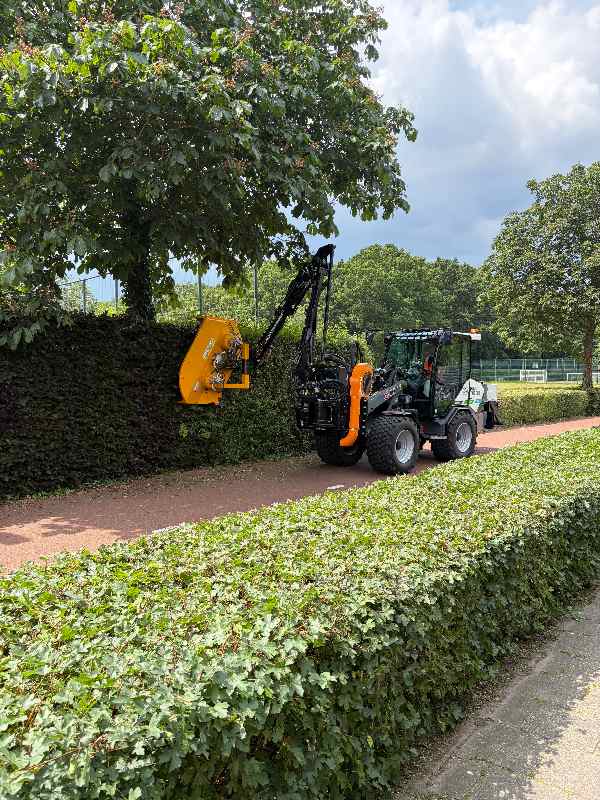 hagen-knippen-schijndel-veghel Van Weert heeft in Schijndel en Veghel in samenwerking hagen geknipt
