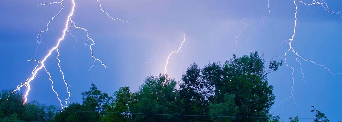 bliksem-inslag-boom-schade-van-weert Boom geraakt voor bliksem