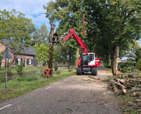 Bomen rooien in Eersel met eigen boomvelkraan