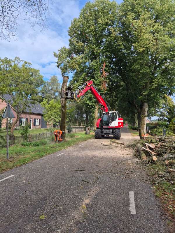 Bomen rooien in Eersel met eigen boomvelkraan