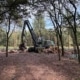 Harvester bij rijen gestapelde boomstammen in een open gedeelte tijden bosexploitatie in Heeswijk-Dinther.
