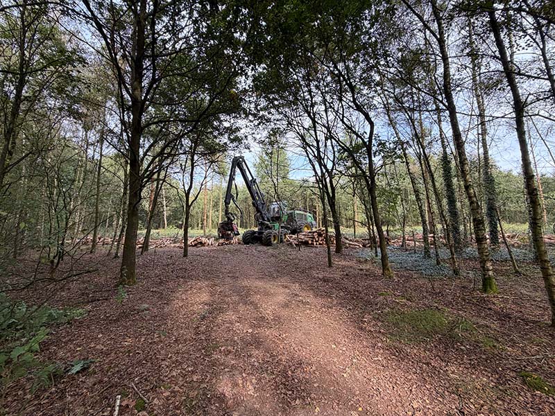 bosexploitatie met harvester in Heeswijk-Dinther bosexploitatie met harvester in Heeswijk-Dinther