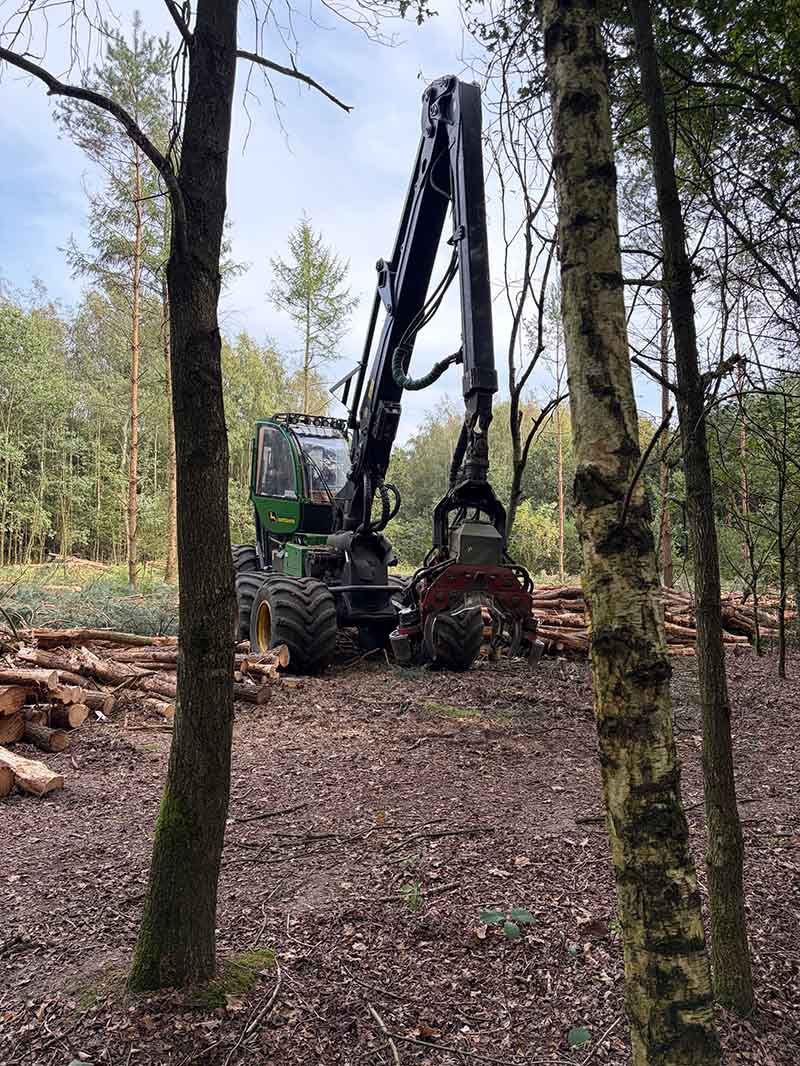 Van Weert bosexploitatie met harvester in Heeswijk-Dinther Van Weert bosexploitatie met harvester in Heeswijk-Dinther